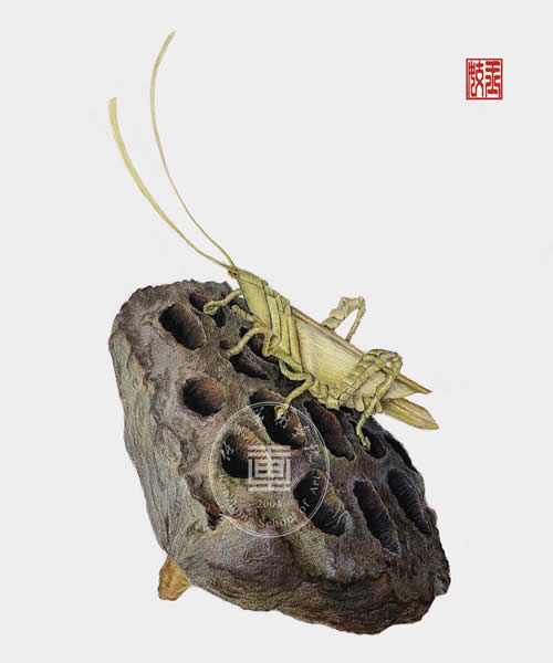 ʦƷչʾ